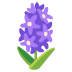 :hyacinth: