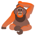 :orangutan: :orangutan:
