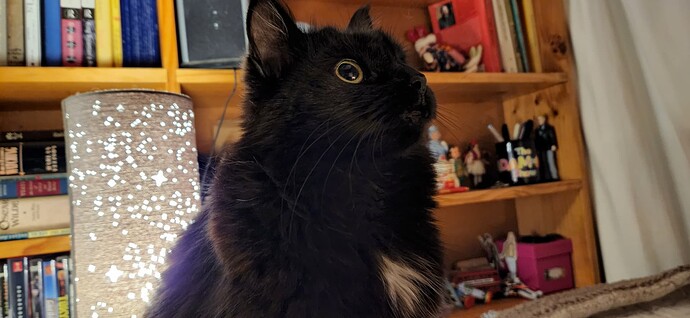 Googly