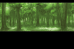 fe12forest