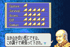 Fire Emblem (U) ! SoHaE-3009