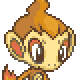 Chimchar Basic Large