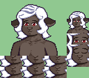 Sheep {Estra}