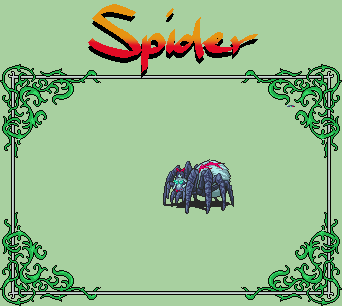 Spider Card