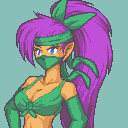 Shantae Ninja