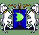 magi banner