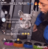 dog-hell-nah