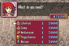 Fire Emblem Sacred Echoes_1713341864285