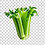 Celery356
